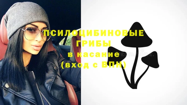 спиды Алексин