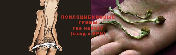 стаф Абаза
