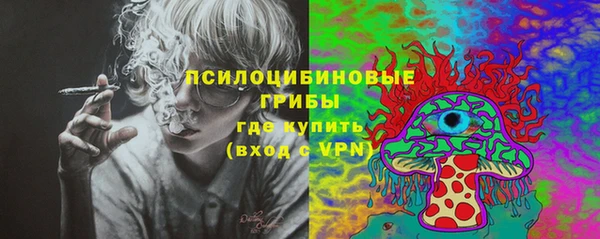 стаф Абаза