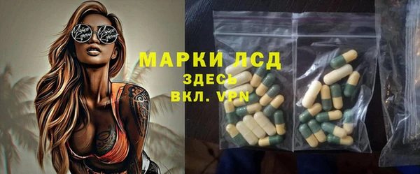 стаф Абаза