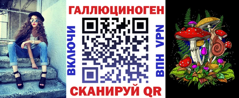 Галлюциногенные грибы Psilocybe  где купить наркотик  Шенкурск 